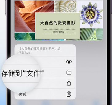 南召apple维修中心分享iPhone文件应用中存储和找到下载文件