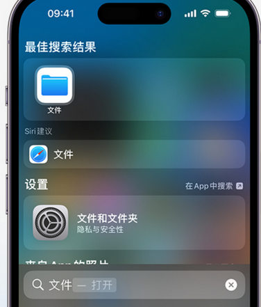 南召apple维修中心分享iPhone文件应用中存储和找到下载文件