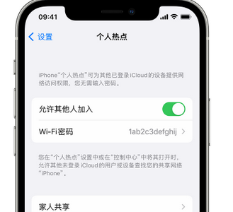 南召apple服务站点分享iPhone上个人热点丢失了怎么办