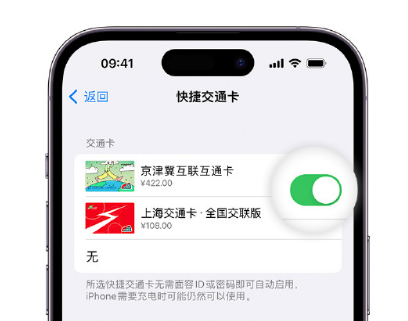 南召apple维修点分享iPhone上更换Apple Pay快捷交通卡手绘卡面 