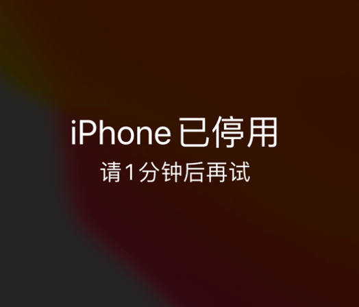 南召苹果手机维修分享:iPhone 显示“不可用”或“已停用”怎么办？还能保留数据吗？ 