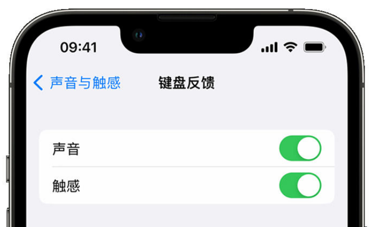 南召苹果手机维修分享iPhone 14触感键盘使用方法 