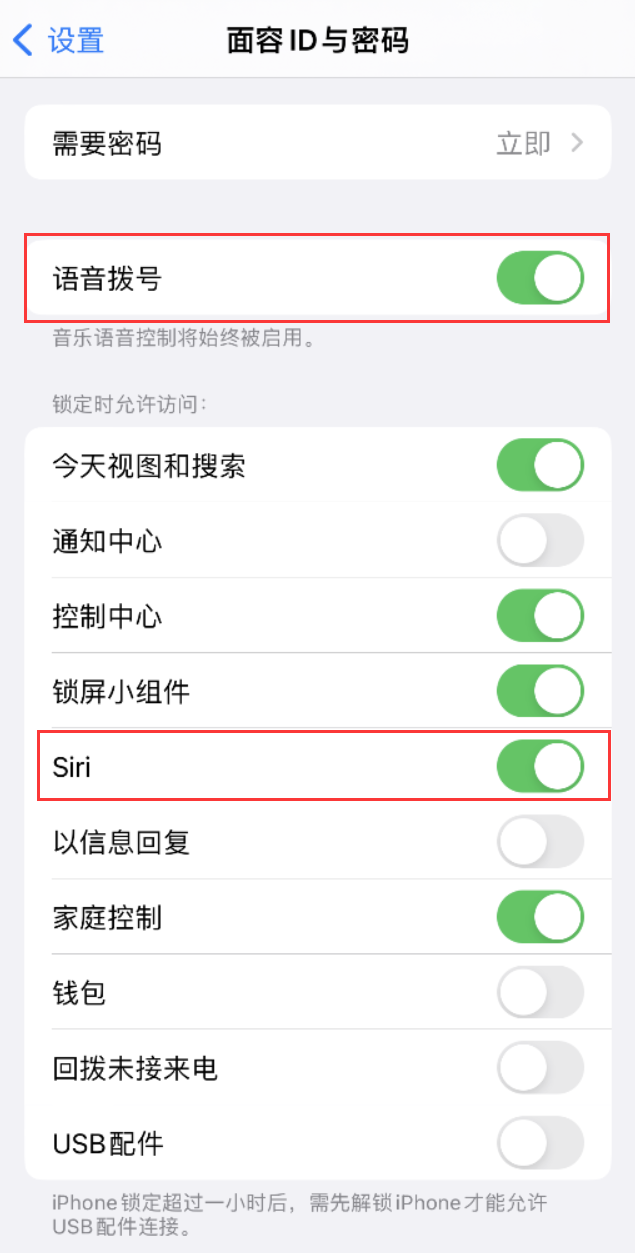 南召苹果维修网点分享不解锁 iPhone 的情况下通过 Siri 拨打电话的方法 