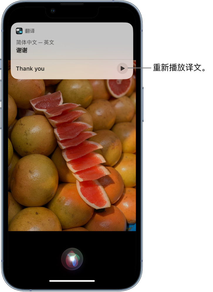 南召苹果14维修分享 iPhone 14 机型中使用 Siri：了解 Siri 能帮你做什么 