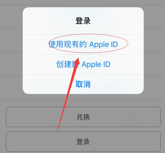 南召苹果手机维修分享两台iPhone设备可以同时登录一个Apple ID吗 