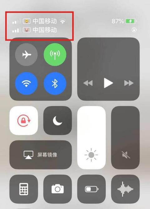 南召苹果手机维修分享为 iPhone 12 双卡设置标签 